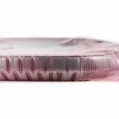 2KG JF017E RE0F10D versnellingsbakgordelketen voor TEANA X Trail QASHQAI 901074 901089 901096